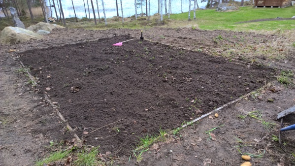 Vegetable patch 1